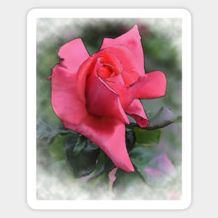 Red Rose Bud In Watercolor Sticker